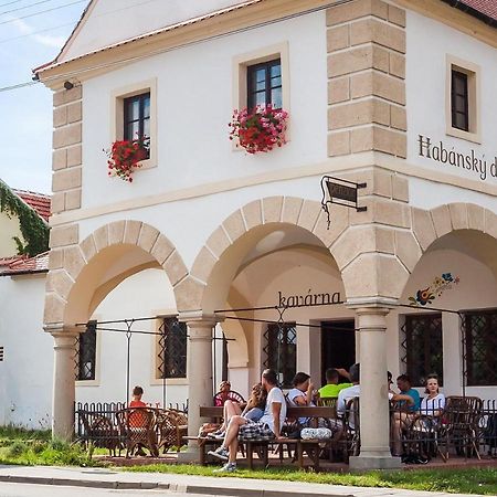 Habansky Dum Otel Dolni Vestonice Dış mekan fotoğraf
