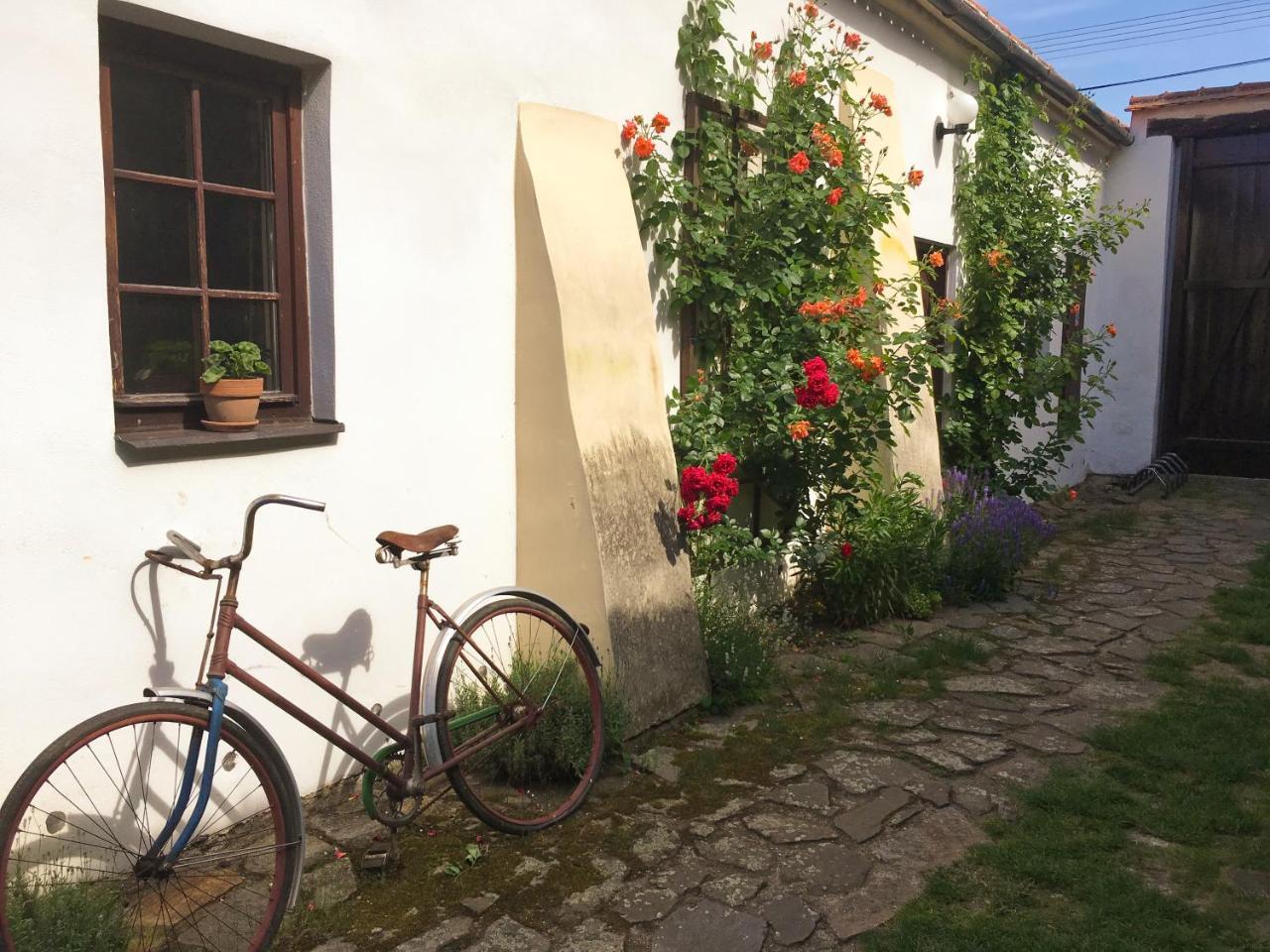 Habansky Dum Otel Dolni Vestonice Dış mekan fotoğraf