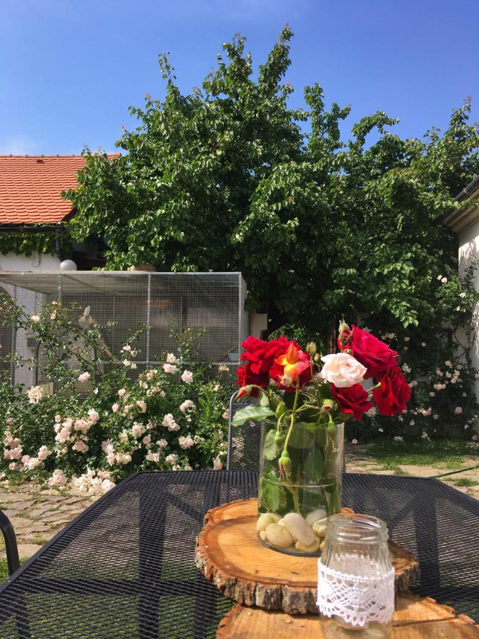 Habansky Dum Otel Dolni Vestonice Dış mekan fotoğraf