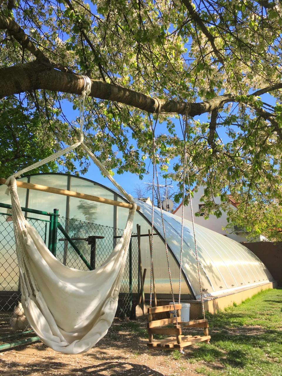Habansky Dum Otel Dolni Vestonice Dış mekan fotoğraf